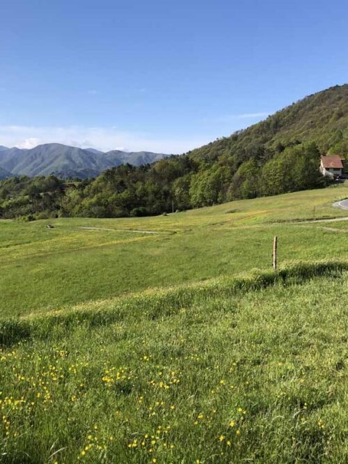 Parco_Beigua_Dettaglio_Clienti_Mercomm_Agenzia_Comunicazione